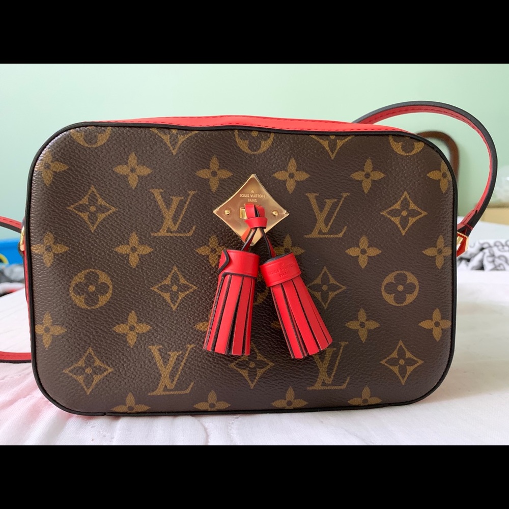 Louis Vuitton Saintonge camera bag